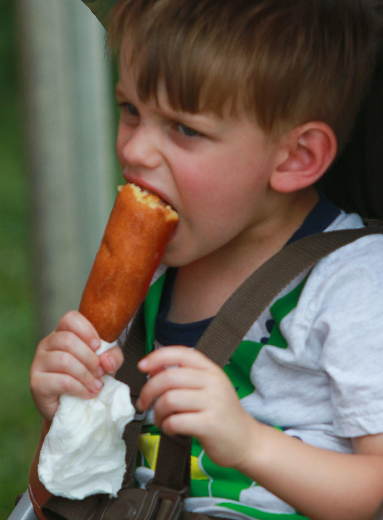 Porter County Fair Food